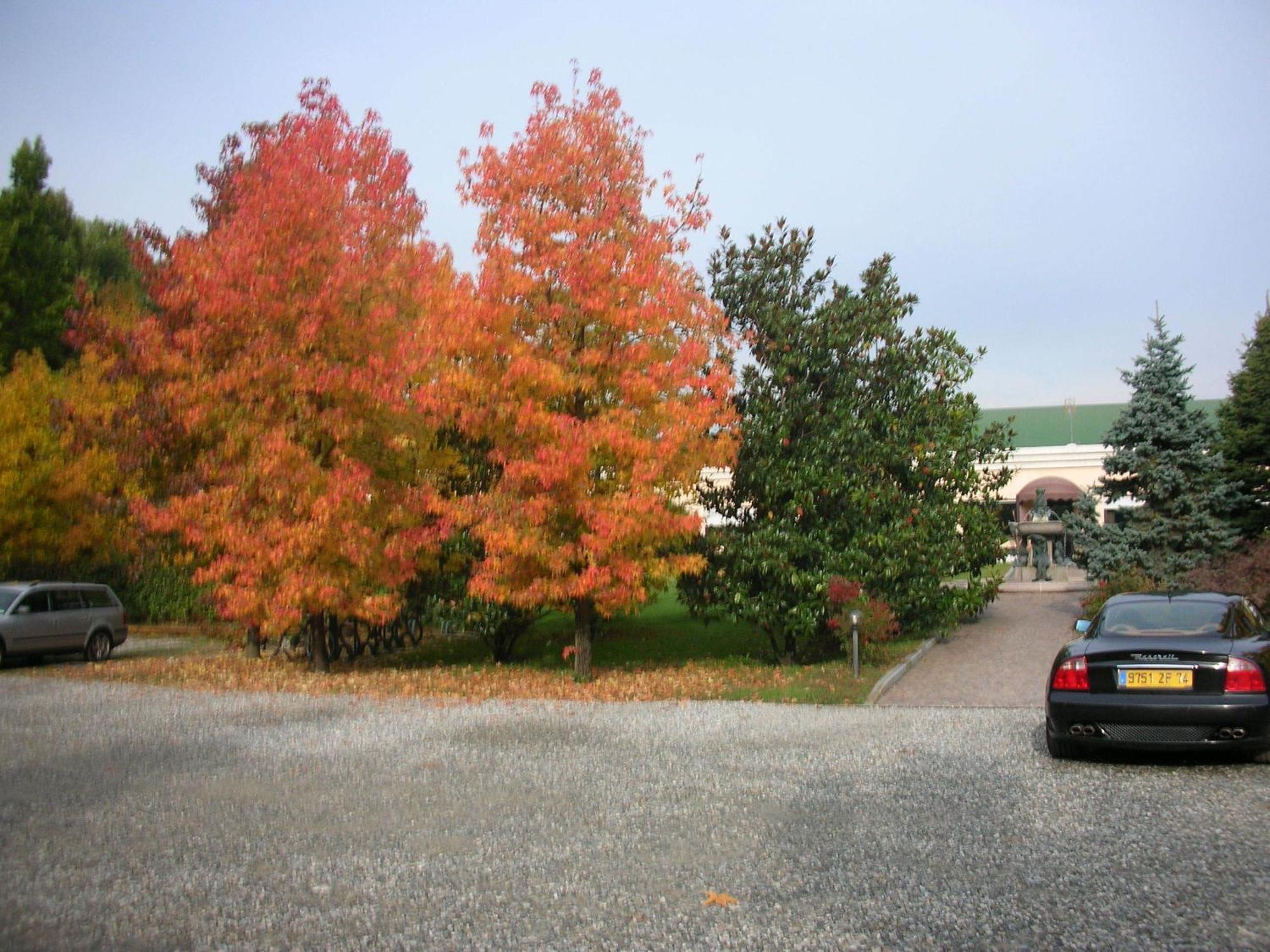 Hotel Parco Sassi 3*