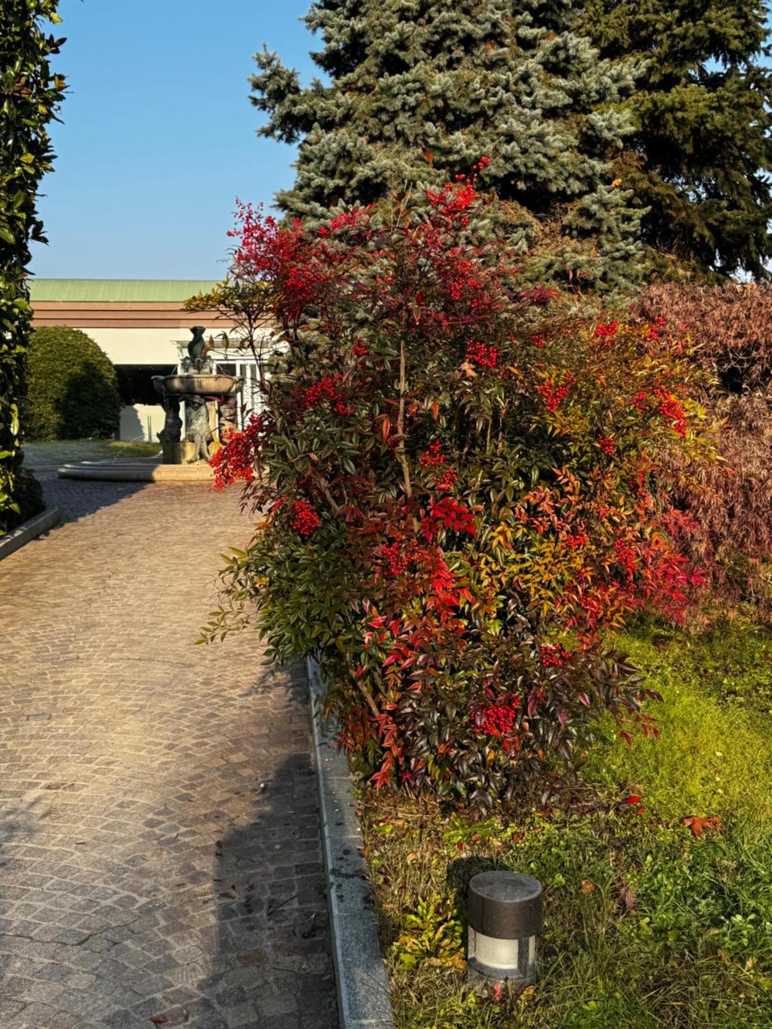 Hotel Parco Sassi 3*