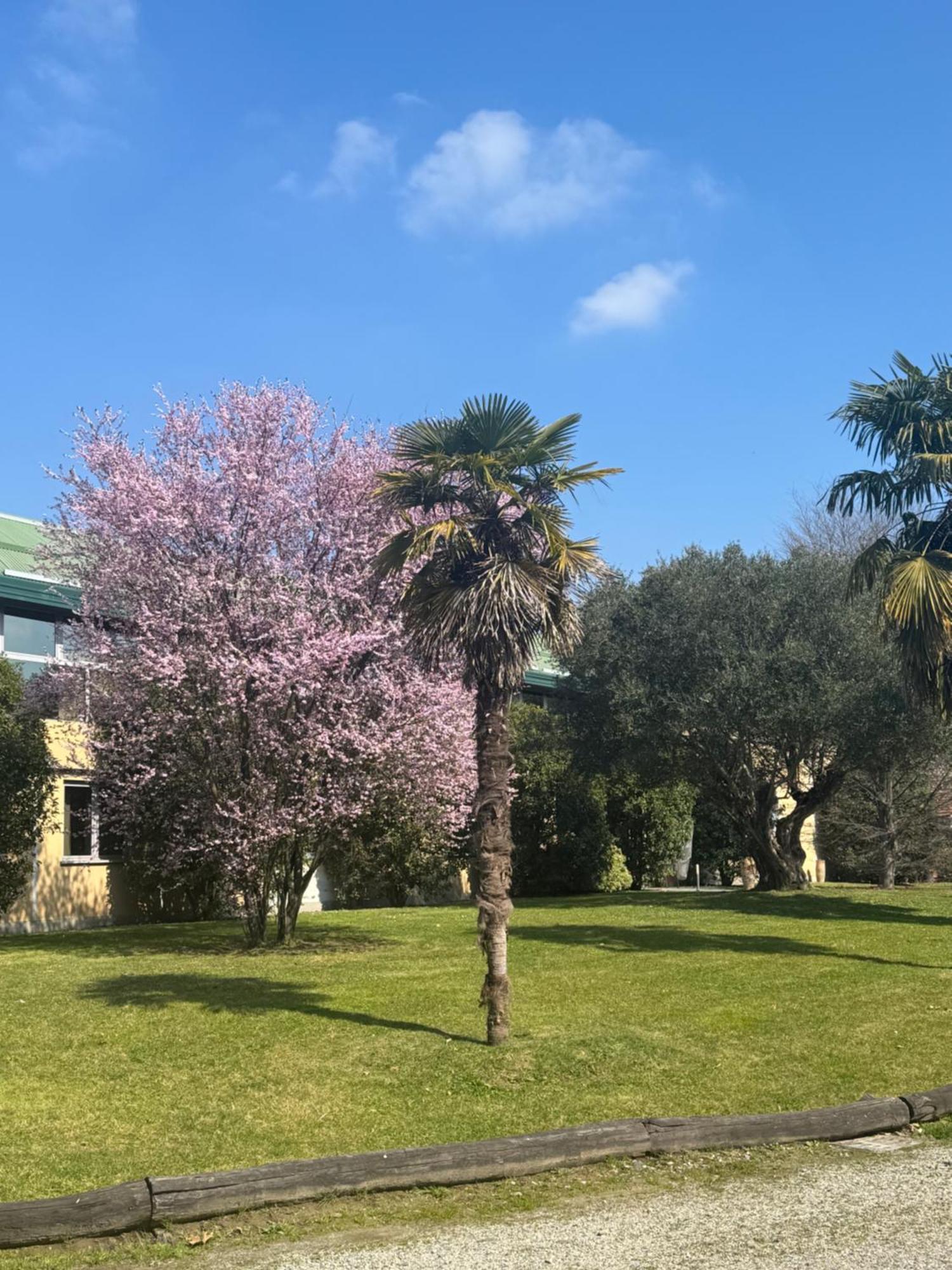 Parco Sassi 3* Turin